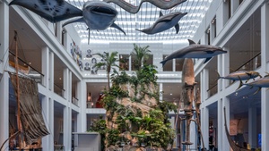 Yoga im Museum – Das Element „Wasser“ im Yoga