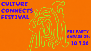 Culture Connects Pre-Party