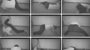 Body Matters. Körperlichkeit in der Videokunst der 1970er Jahre