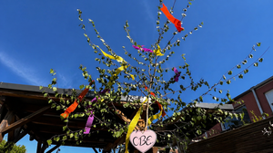 Tanz in den Mai - Daydrinking