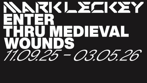 Mark Leckey: Enter Thru Medieval Wounds