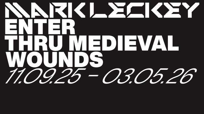 Mark Leckey: Enter Thru Medieval Wounds