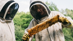 BUGONIA mit Emma Stone & Jesse Plemons