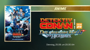 ANIME: DETEKTIV CONAN FILM 29 - Der gefallene Engel des Highways