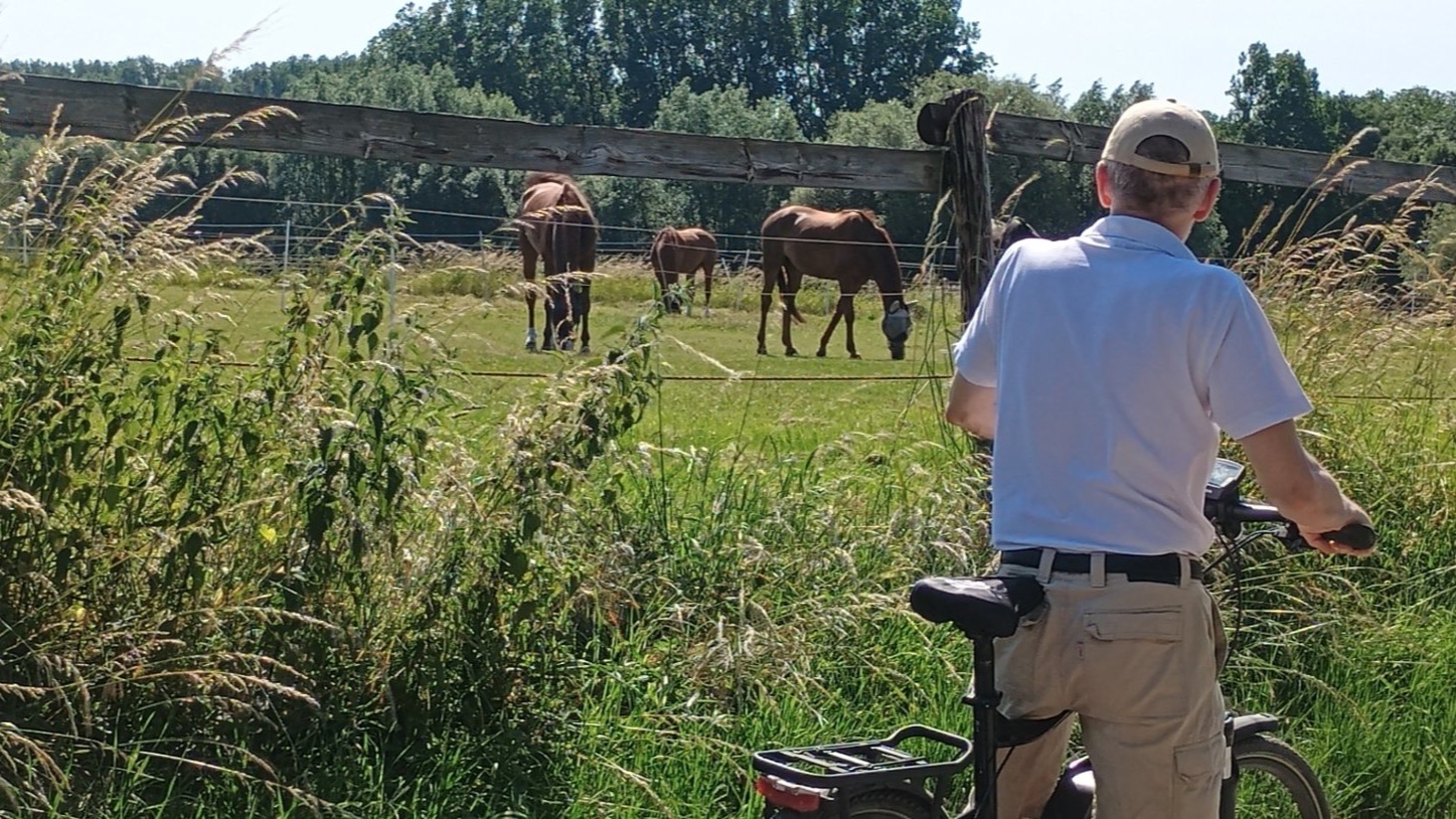 Aachener Fahrradsommer -Radtour (während der Weltreiterspielen)