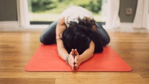 Yoga für den Artenschutz