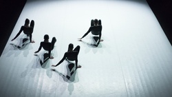 CocoonDance Company