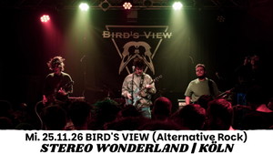 Bird's View