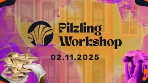 Indoor Pilzzucht für dein Zuhause