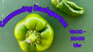 Community Dachgarten