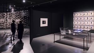 INTO THE UNSEEN: THE WALTHER COLLECTION