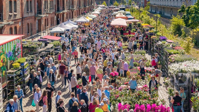 Lenzmarkt: Es grünt so grün…