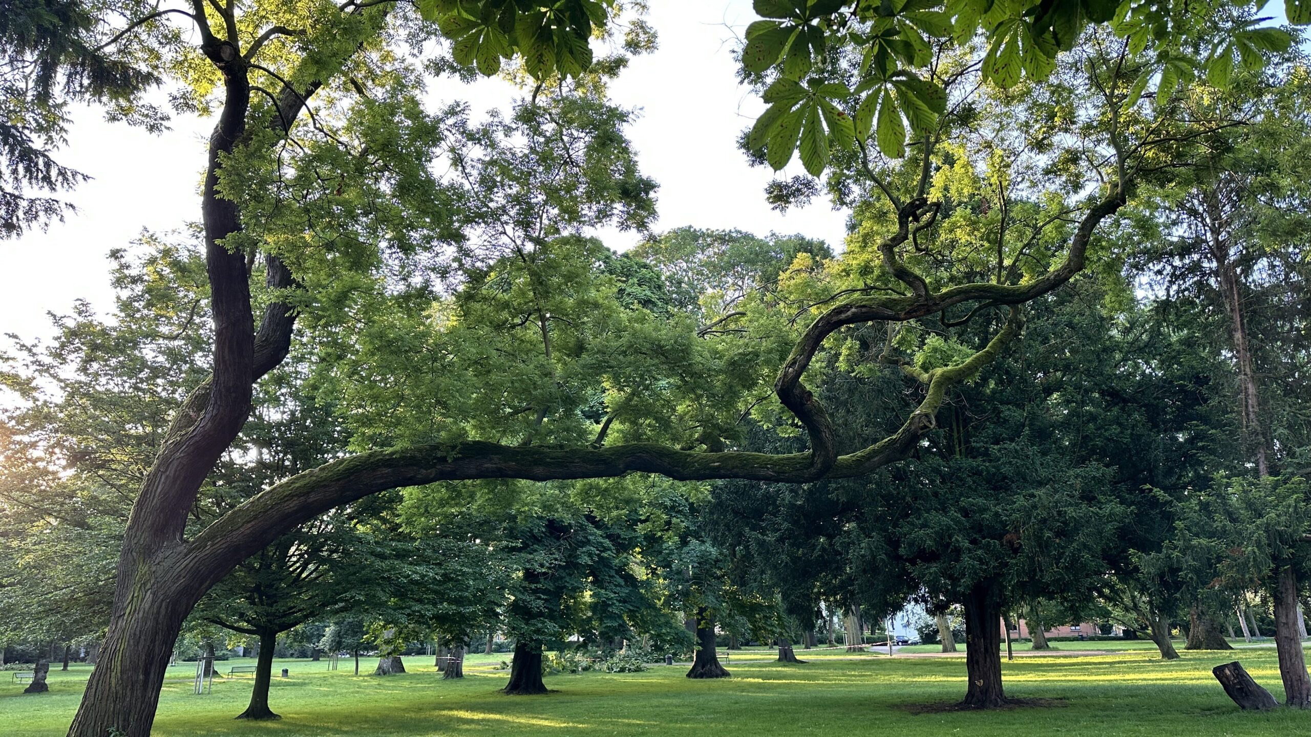 Führungen durch den Stadtgarten-Park