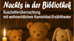 Nachts in der Bibliothek : Kuscheltierübernachtungsparty