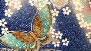 VORTRAG: SCHÖNHEIT & VERGÄNGLICHKEITFRÜHLINGSMOTIVE AUF DEM KIMONO / RUTH JÄSCHKE