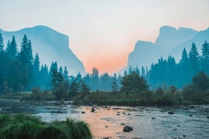 Hello Nature. Wie wollen wir zusammen leben?