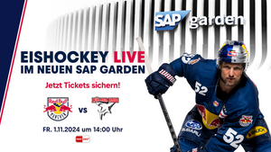 Red Bull München vs. Kölner Haie