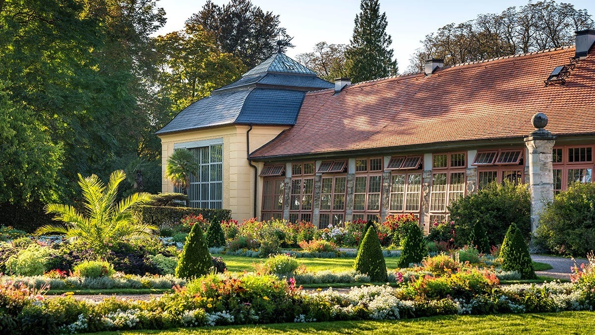 Orangerie Belvedere