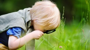 Wildkräuterrallye für (Groß-) Eltern und Kinder ab 4 Jahren