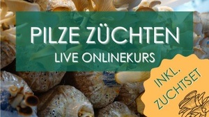 Onlinekurs Pilze zuhause züchten