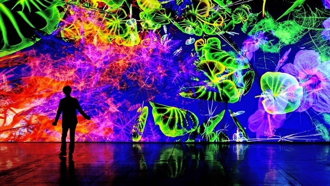 Vortrag: Digital by Nature Die Kunst von Miguel Chevalier