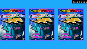 DOLPHIN HYPERSPACE *live