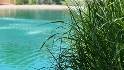 Naturfreibad Suderwich
