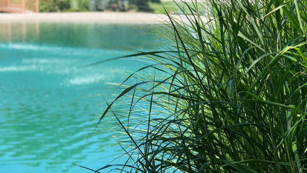 Naturfreibad Suderwich