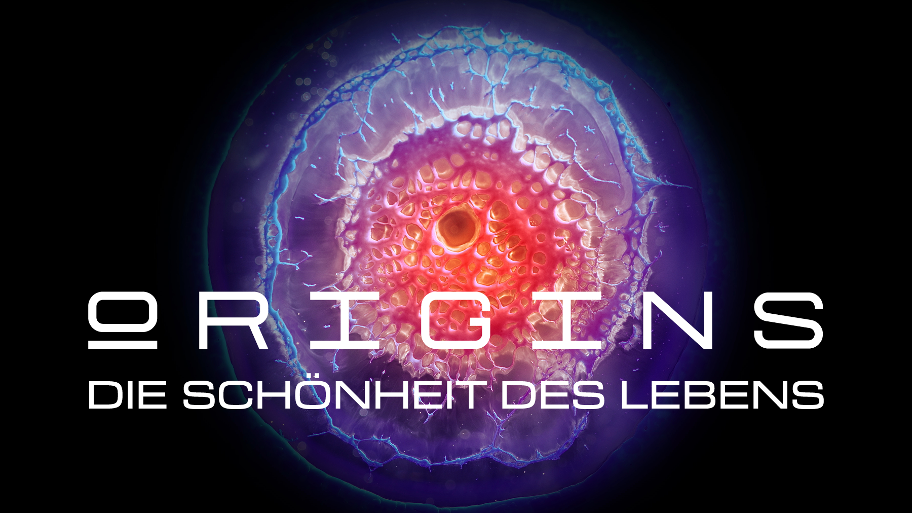 ORIGINS - Die Schönheit des Lebens: Eine immersive Show auf Europas größter 360 Grad Leinwand: vom Urknall bis zur ersten Zelle