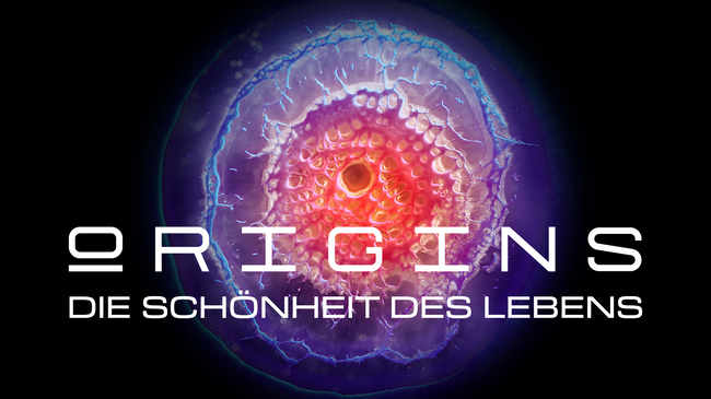 ORIGINS - Die Schönheit des Lebens: Eine immersive Show auf Europas größter 360 Grad Leinwand: vom Urknall bis zur ersten Zelle