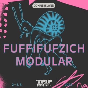 TRIP festival Tag 4 I Fuffifufzich & Modular