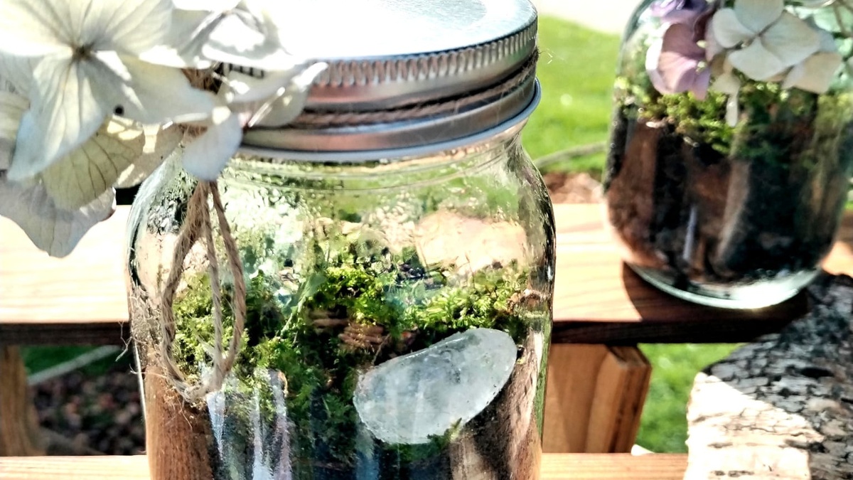 🌲 Mini-Biotop Workshop im Adventswald