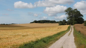 Kräutertour