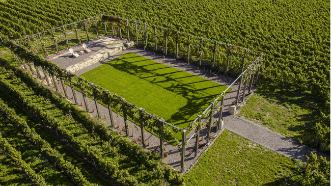 WineYoga Herrenberg