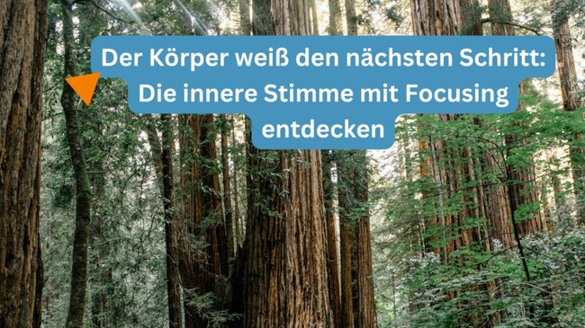 Der Körper weiß den nächsten Schritt: Die innere Stimme mit Focusing entdecken