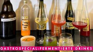 Gastrospecial: Fermentierte Drinks 🍸