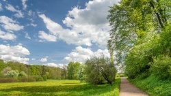 Park an der Ilm