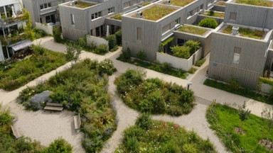 Urban Green & Blue Infrastructure – klimaresiliente Städte für morgen gestalten