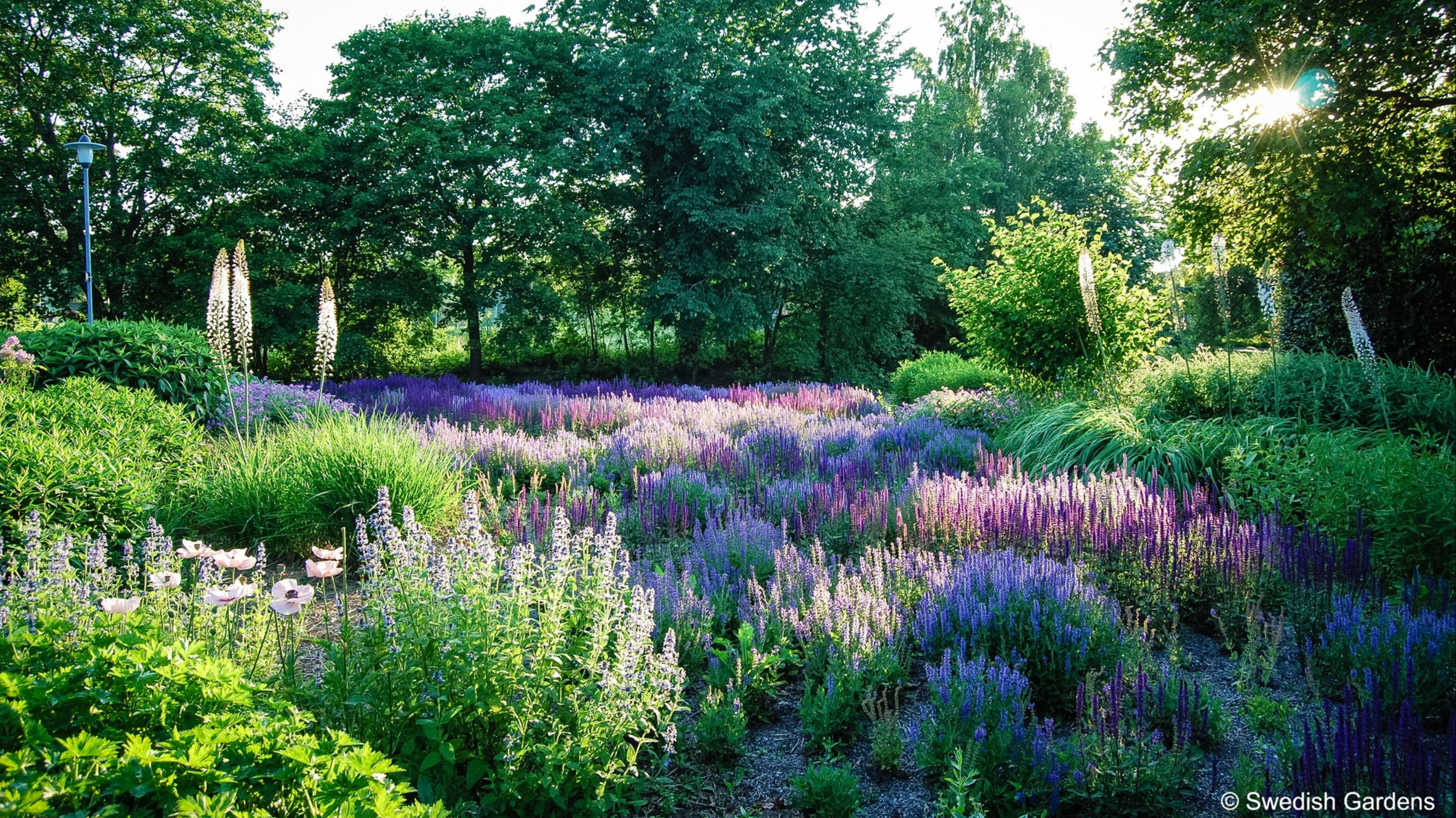 Ausstellung Gartenfokus in Schloss Dyck