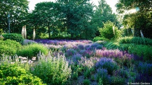 Ausstellung Gartenfokus in Schloss Dyck