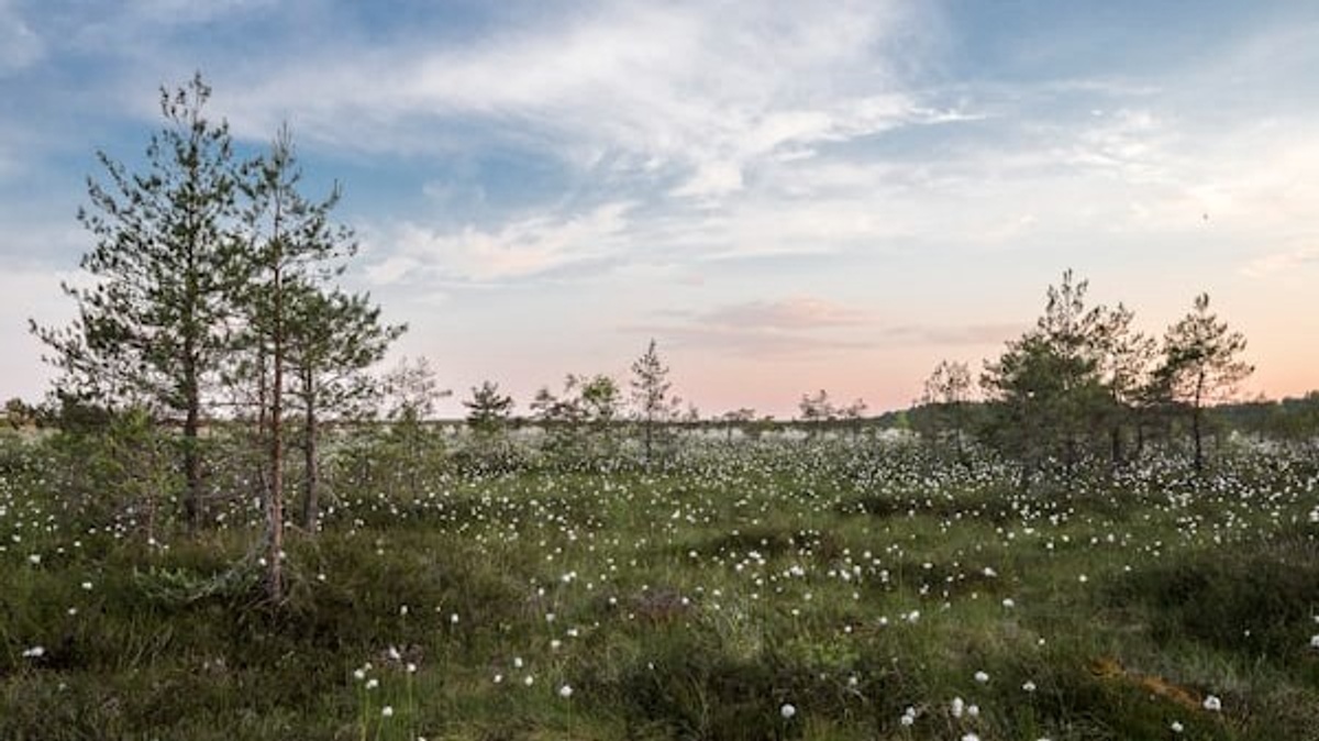Festplatz Krehlstraße