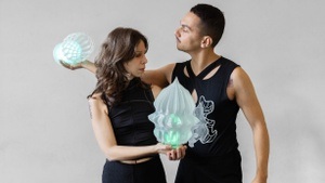 THE NEW SILICON VALLEY