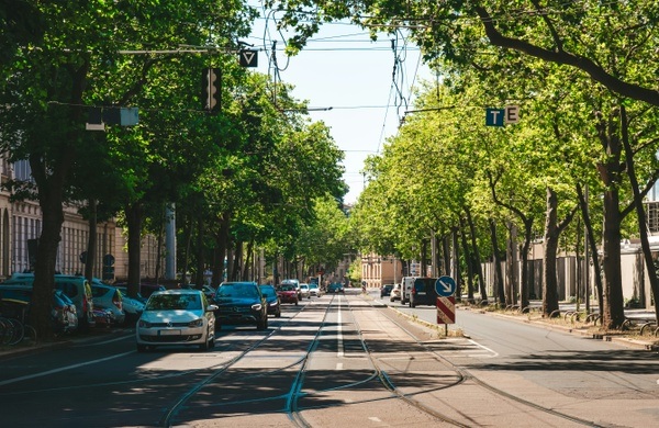 Was geht im August 2025? Veranstaltungen in Leipzig