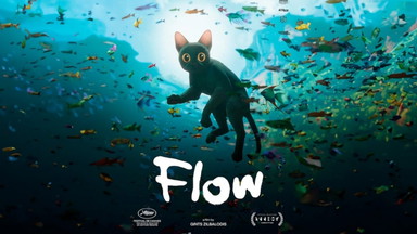 Open Air Kino: Flow