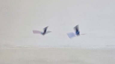 Papier in Bewegung