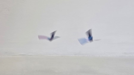 Papier in Bewegung