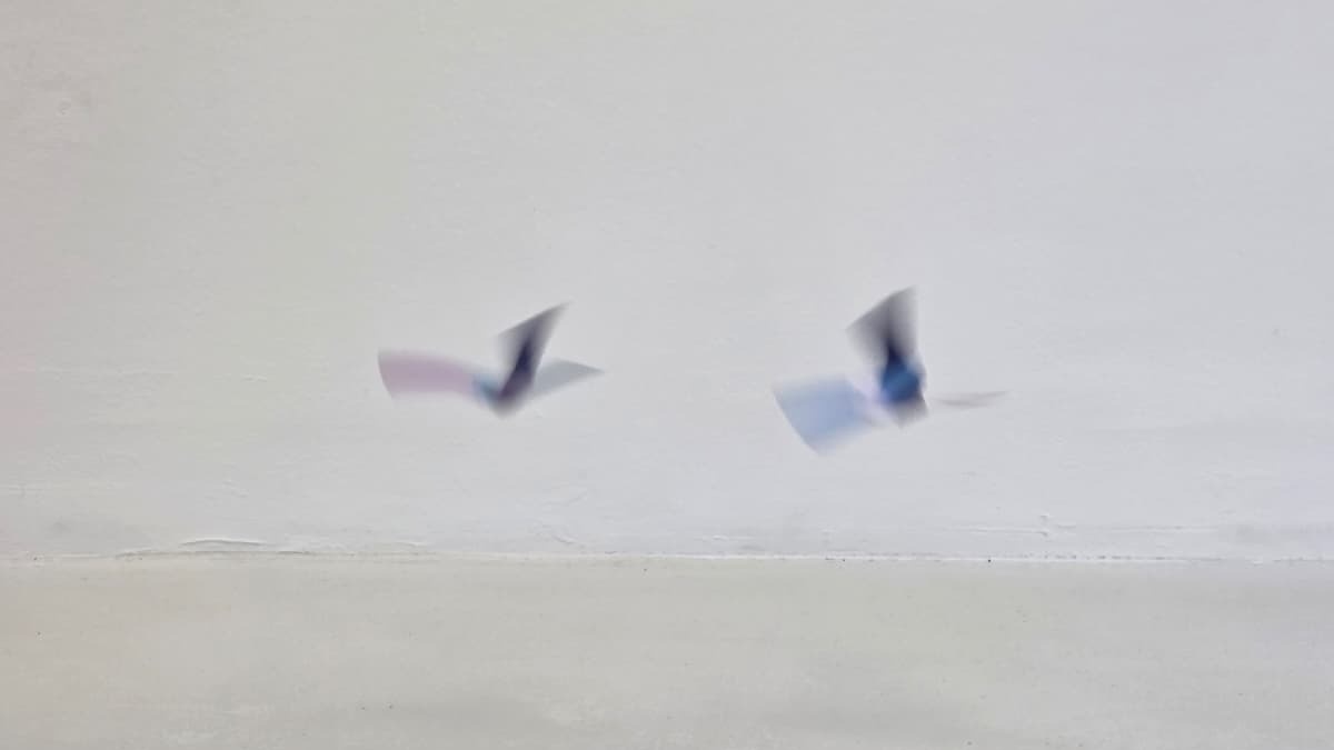 Papier in Bewegung