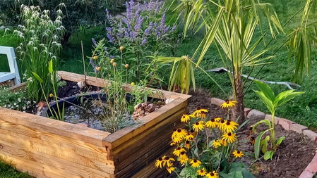Dem Klimawandel mit mehr Grün begegnen: Auftakt zur Veranstaltungsreihe "Der klimaangepasste Garten"