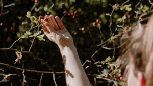 Kräuterwanderung: Wildkräuter, Früchte und Wurzeln im Winter