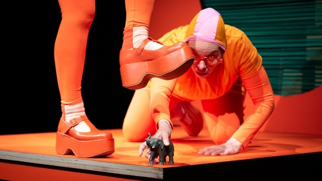 Wohin mit dem Elefanten? | kirschkern compes & Co.